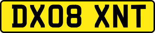 DX08XNT