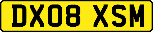 DX08XSM