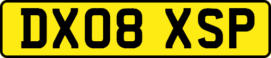 DX08XSP