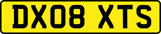 DX08XTS