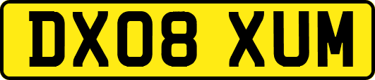 DX08XUM