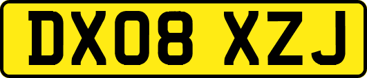 DX08XZJ