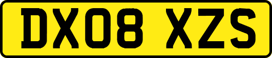 DX08XZS
