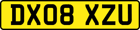 DX08XZU