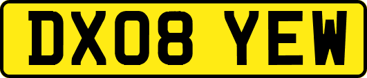 DX08YEW