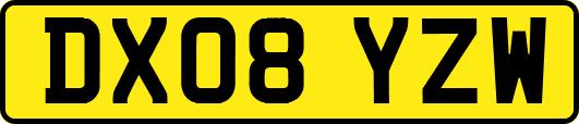 DX08YZW