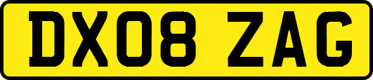 DX08ZAG