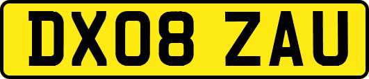 DX08ZAU