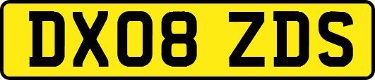DX08ZDS