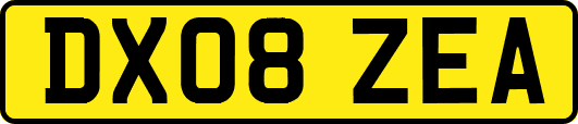 DX08ZEA