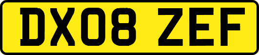 DX08ZEF