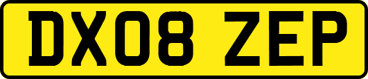DX08ZEP