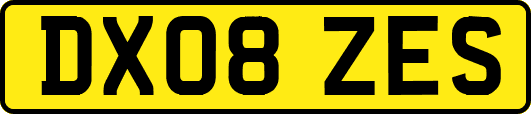 DX08ZES