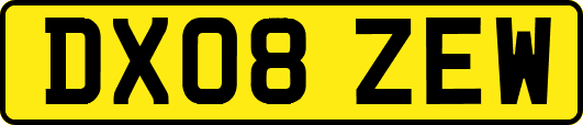 DX08ZEW