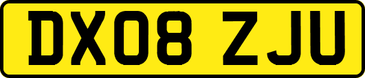 DX08ZJU
