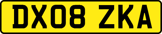 DX08ZKA