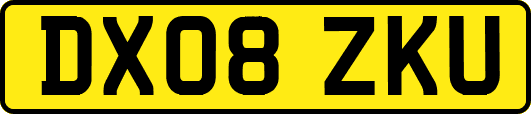 DX08ZKU