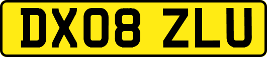 DX08ZLU