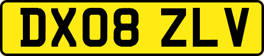DX08ZLV