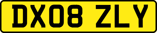 DX08ZLY