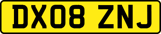 DX08ZNJ