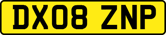 DX08ZNP