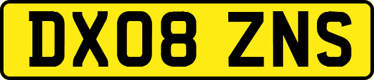DX08ZNS