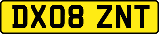 DX08ZNT
