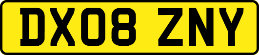 DX08ZNY