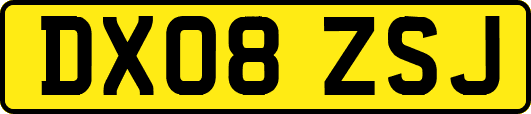 DX08ZSJ