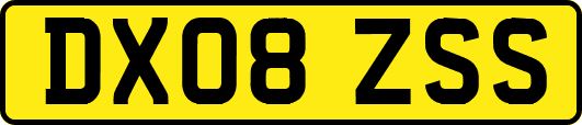 DX08ZSS