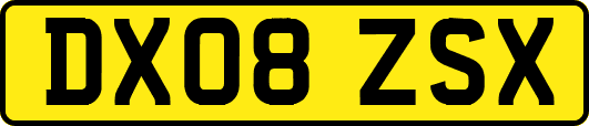DX08ZSX