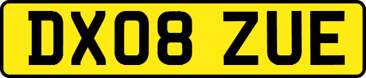 DX08ZUE