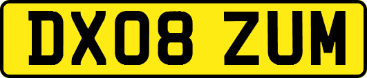 DX08ZUM