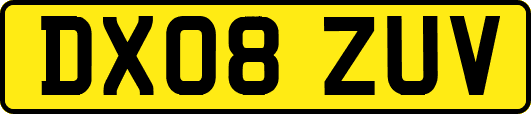 DX08ZUV
