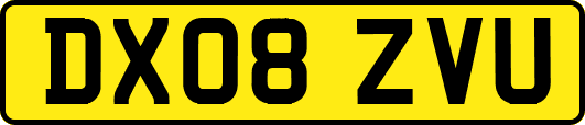 DX08ZVU