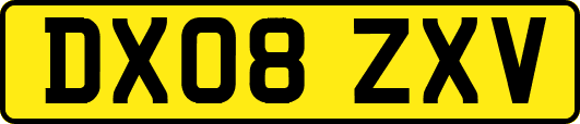 DX08ZXV