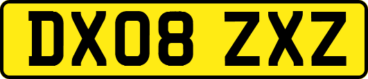 DX08ZXZ