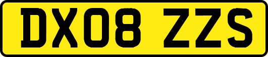 DX08ZZS