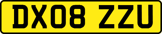DX08ZZU