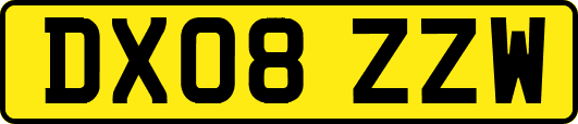 DX08ZZW