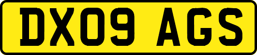 DX09AGS