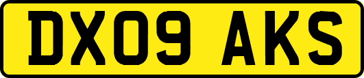 DX09AKS