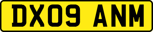 DX09ANM