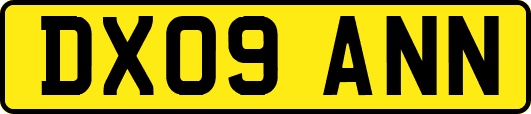 DX09ANN