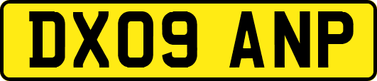 DX09ANP