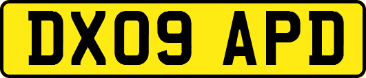 DX09APD