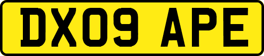 DX09APE