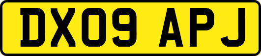 DX09APJ