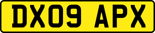 DX09APX